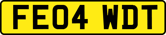 FE04WDT
