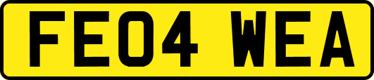 FE04WEA