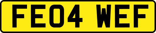 FE04WEF