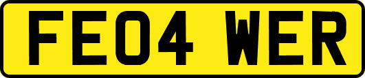 FE04WER