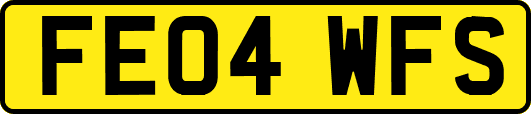 FE04WFS