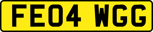 FE04WGG