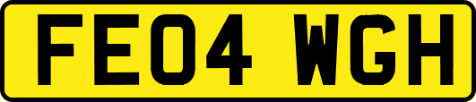 FE04WGH