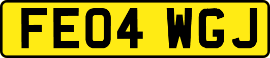 FE04WGJ