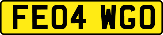 FE04WGO