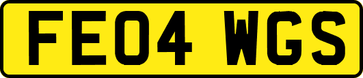 FE04WGS