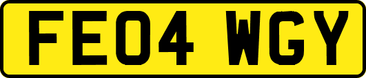 FE04WGY