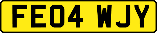 FE04WJY
