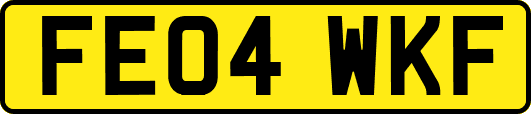 FE04WKF