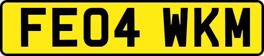 FE04WKM