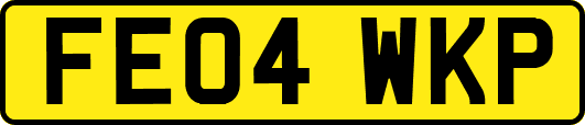 FE04WKP