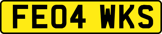 FE04WKS