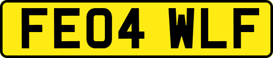 FE04WLF