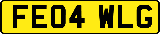 FE04WLG