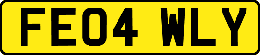 FE04WLY