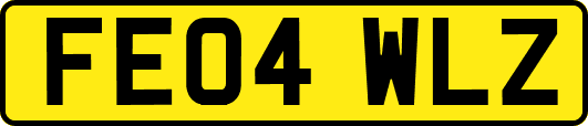 FE04WLZ