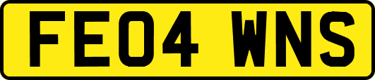 FE04WNS