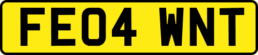 FE04WNT