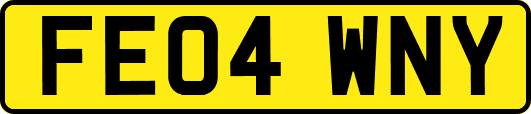 FE04WNY