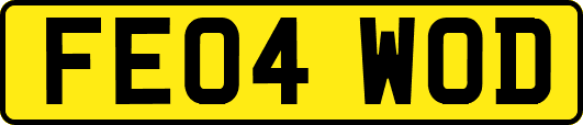 FE04WOD