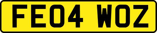 FE04WOZ
