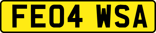 FE04WSA