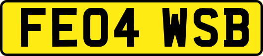 FE04WSB