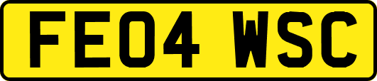 FE04WSC