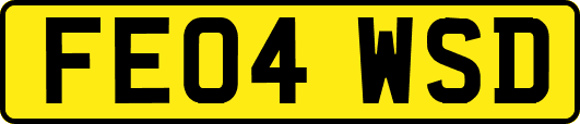 FE04WSD
