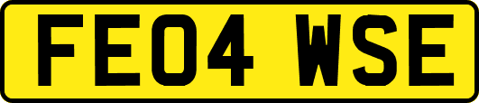 FE04WSE