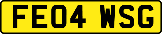 FE04WSG