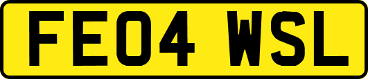 FE04WSL