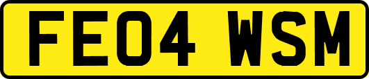 FE04WSM