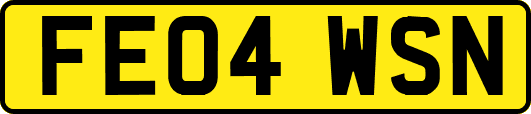 FE04WSN