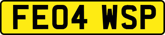 FE04WSP