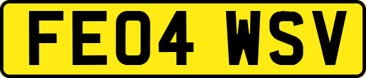 FE04WSV