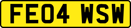FE04WSW