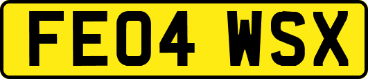 FE04WSX