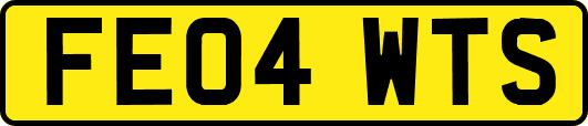 FE04WTS