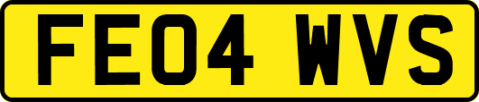 FE04WVS