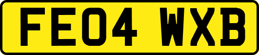 FE04WXB
