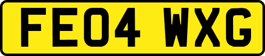 FE04WXG