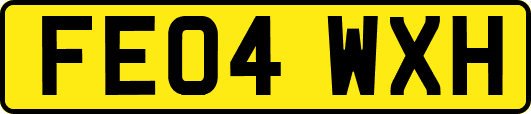 FE04WXH