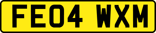 FE04WXM