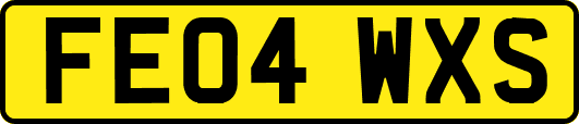 FE04WXS