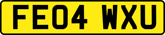 FE04WXU