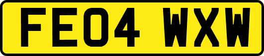 FE04WXW