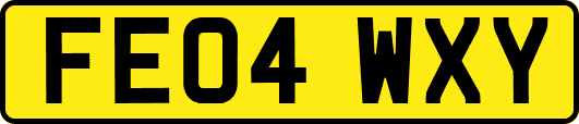 FE04WXY
