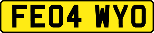 FE04WYO