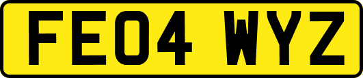 FE04WYZ